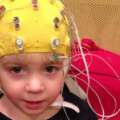Neurociencia y Primera Infancia: entrelazando teoría y práctica